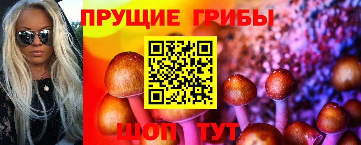 Вязники  Псилоцибиновые грибы мицелий  Вход с VPN 