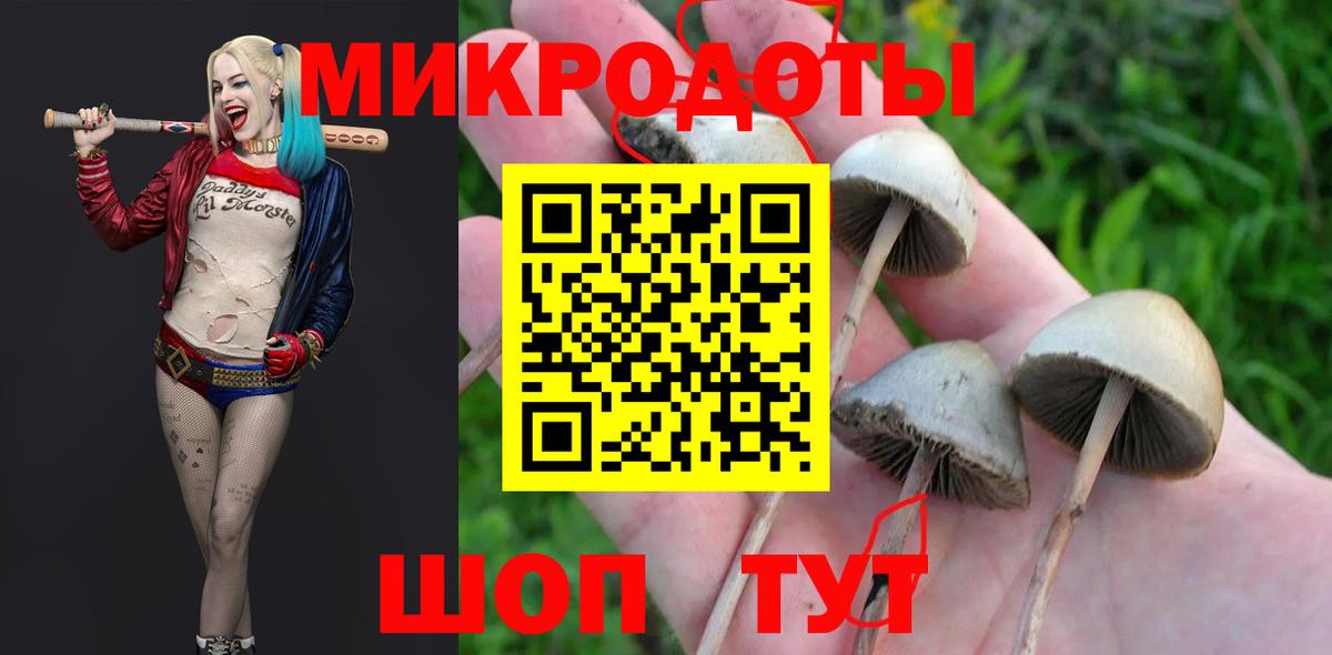Псилоцибиновые грибы MAGIC MUSHROOMS Вязники